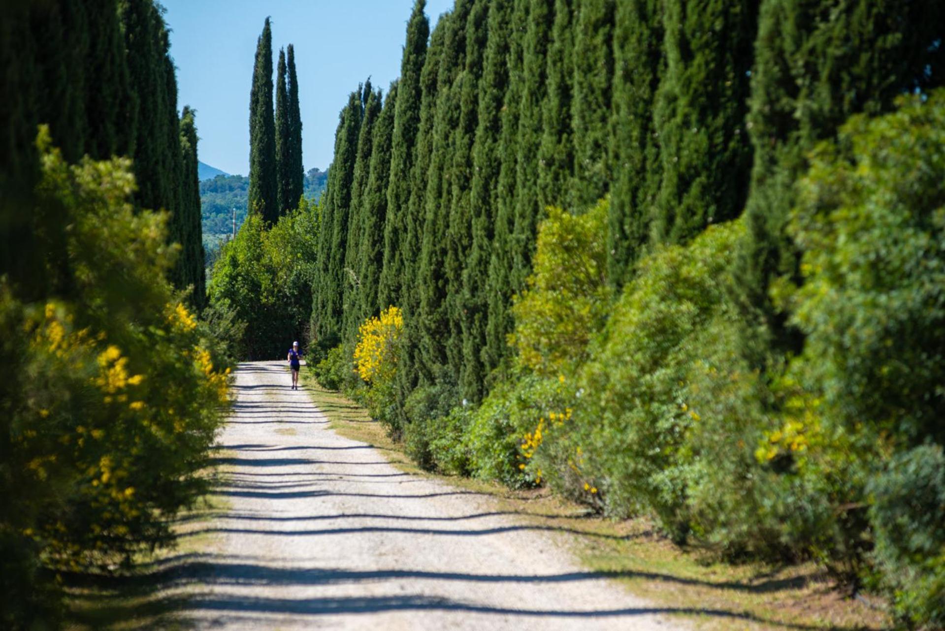 Tenuta Il Cicalino マッサ・マリッティマ エクステリア 写真
